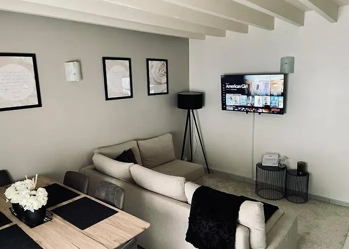 Appartement Superbe Duplex Cosy Reims